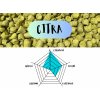 CITRA