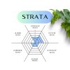 strata