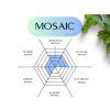 Mosaic 100g