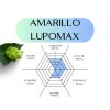 amarillo lupomax