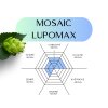 mosaic lupomax