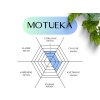motueka