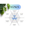 agnus
