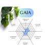 gaia