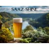 SAAZ shine