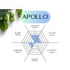 apolo