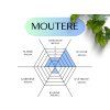 moutere