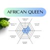african queen