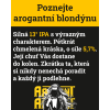 blondyna a 2
