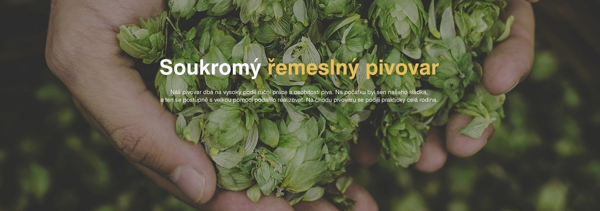 Základní hodnoty a informace o pivovaru