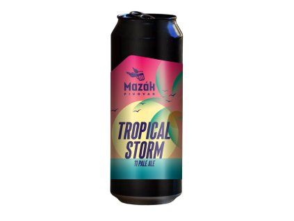 Tropical Storm 05