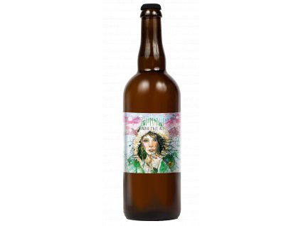 13° Dáreček Modern Pale Ale