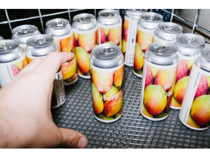 12 Philadelphia Sour Mango