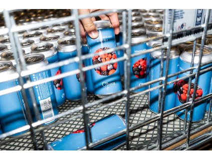 Nízkoalkoholický Sour Ale | Forest Fruit