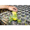 12 Gose Lemongrass