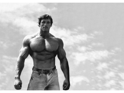 a3 Arnold Schwarzenegger Bodybuilding Motivational 3 (1) 1 transformed