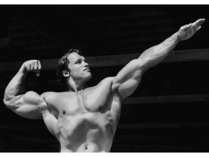 a3 Arnold Schwarzenegger Bodybuilding Motivational 2 (1) 1 transformed