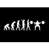 a3 Gym Evolution 1