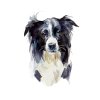 WEB watercolorDOGS 72DPI