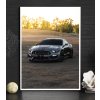 mustang pla bile