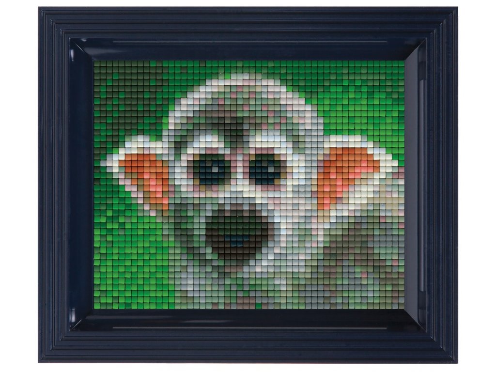 Obrázek s rámečkem 36 barev - opička