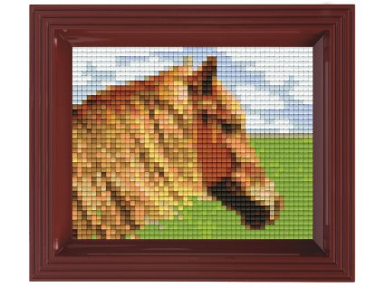 Obrázek s rámečkem 35 barev - kůň