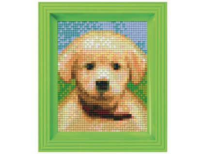 Obrázek s rámečkem 34 barev - štěně