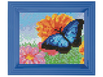 Obrázek s rámečkem 34 barev - motýl s květinami