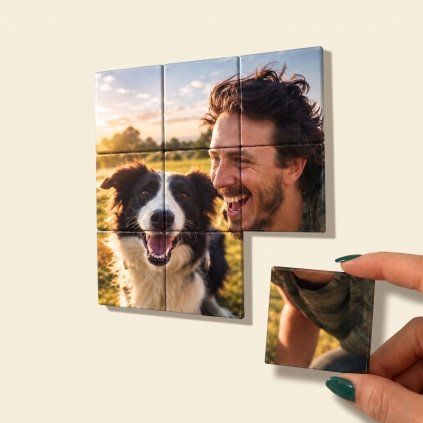 Replace image background with dog 2K 20261025012936 (1)