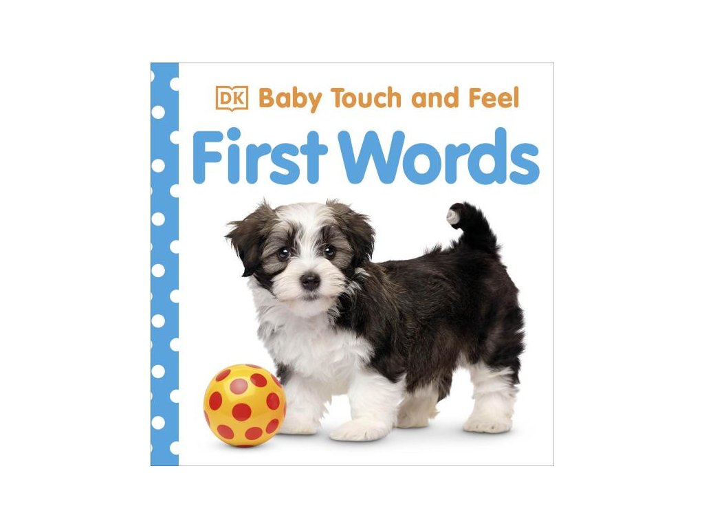 Baby Touch and Feel - First Words