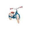 Trybike 2 wheeler matt blue (2)
