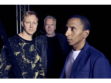 More Than Jazz Tingvall Trio Gang by Steven Haberland