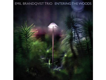 CD: Emil Brandqvist Trio – Entering The Woods