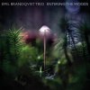 CD: Emil Brandqvist Trio – Entering The Woods