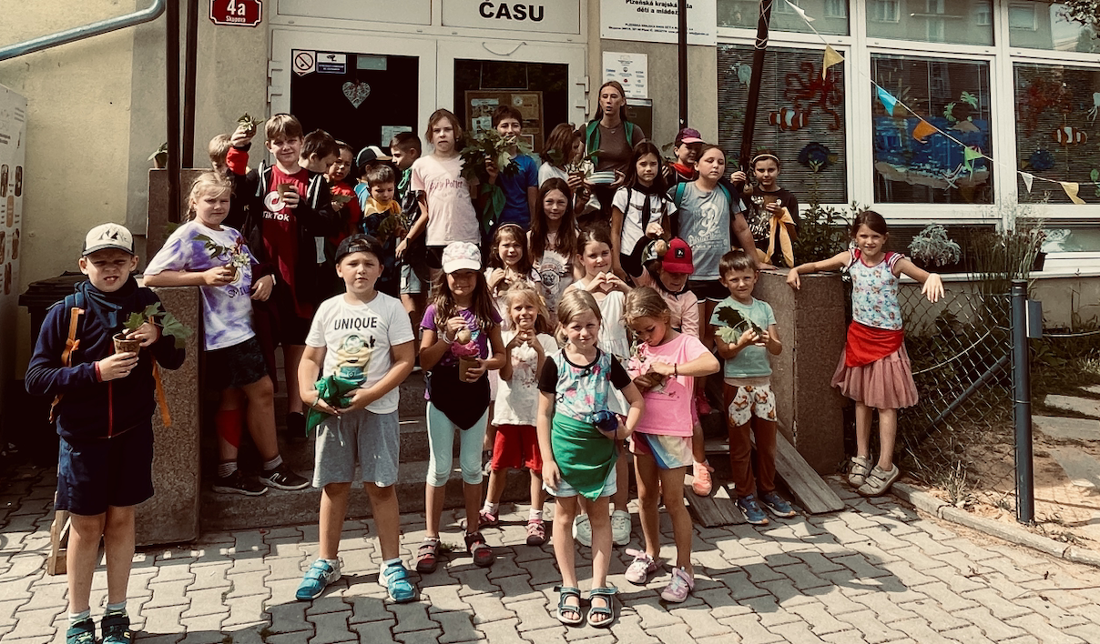 Servisní organizace v ČR