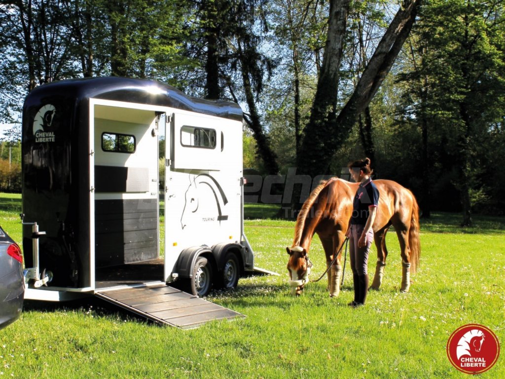 Van cheval liberté 1 place sale