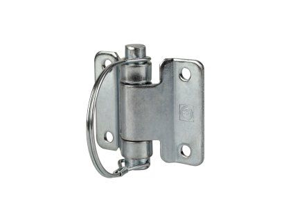 Side panel hinge WW BSCH 30-5 with spring lock