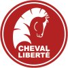 448518 rechter vorderer unterarm cheval liberte 900 kg pullman 1 right front lower arm cheval liberte 900 kg pullman 1 prave predni snizene rameno cheval liberte 900 kg pullman 1 pktechnik 99