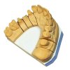 HINRIPLAST N dentální sádra zlatohnědá