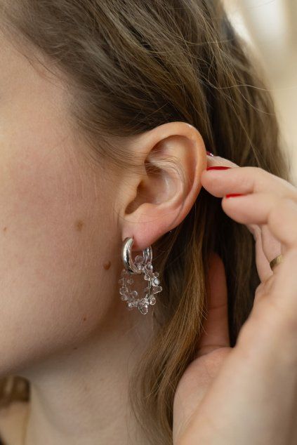 kultivar velký kruh střiíbrný