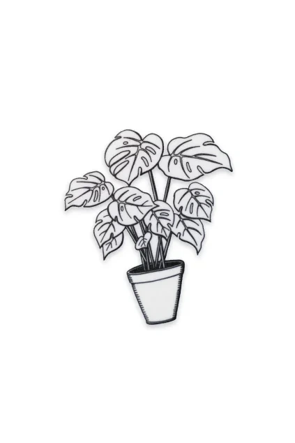 Monstera