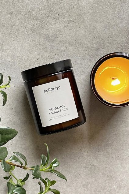 22823 svicka bergamot a sladka lilie