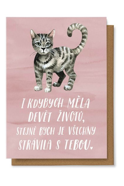 chaukiss prani kocicka