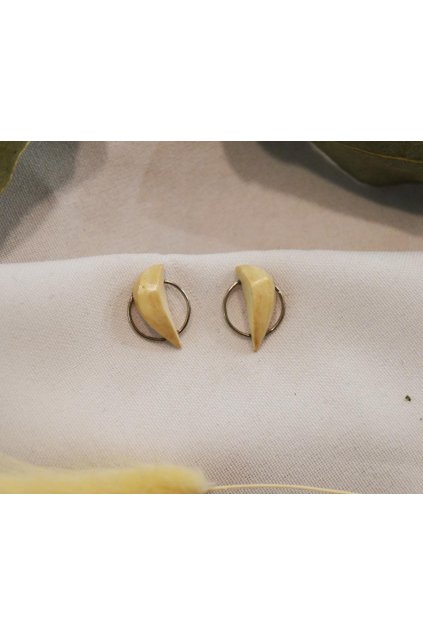 7044 nausnice z ovocnych pecek snakefruit 3