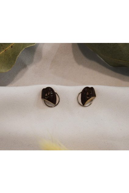 7047 nausnice z ovocnych pecek snakefruit 1