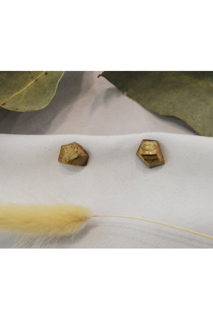 7050 nausnice z ovocnych pecek mango 4