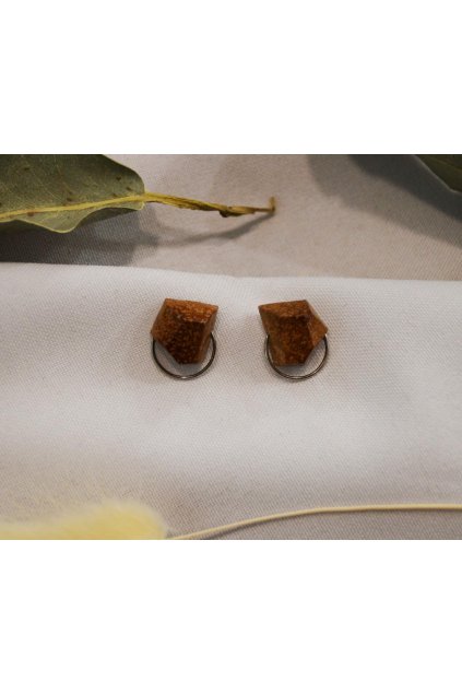 7119 nausnice z ovocnych pecek avokado 5