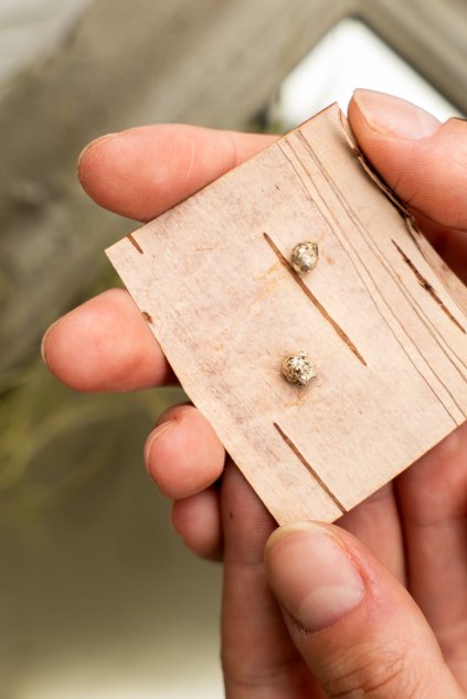 kvasek sperky v place store 14