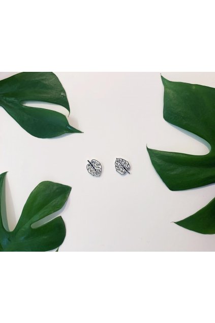 582 nausnice monstera listy