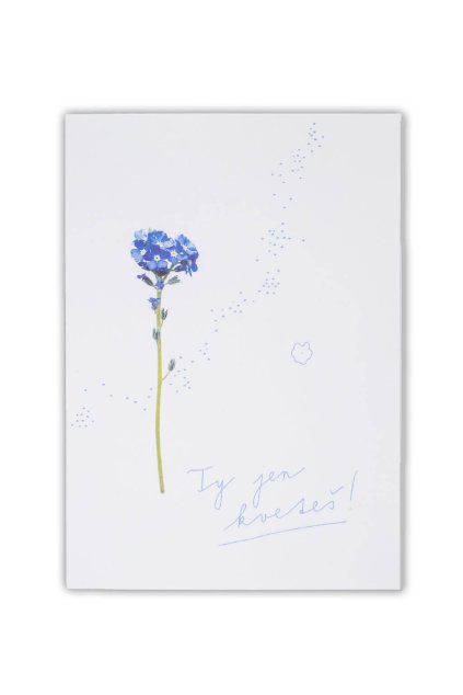 send with fox placestore 13a